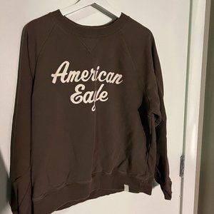 Brown American Eagle Sweater